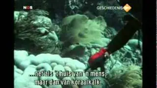 Antilliaans Verhaal Afl. 1: Eén verhaal uit vele (1 van 2)