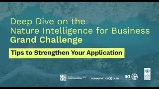 Deep Dive on the Nature Intelligence for Business Grand Challenge: Tips for a Strong Application