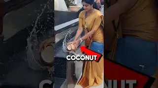Why Hindus Break A Coconut Before God | The Spiritual Science Revealed