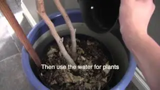 7. Waste No Water
