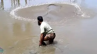 Village People Fishing with a cast net | Best Net Fishing 2020 #fishingbdGo