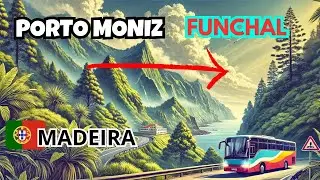 PORTO MONIZ HÁ FUNCHAL , FLORESTA LAURISSILVA NA MADEIRA, PORTUGAL #portugal #madeiraisland #europe