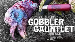 Public Land Gobblers! Spring Turkey Hunting Part 1 (Wingmen by Eastmans')