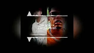 Swanki x Zantakwan | BlackPower fer Comeback ar Poid