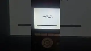AVAYA ANATEL 9611G Telephone Startup And Shutdown