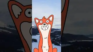 Познакомьтесь с нашим арктическим супергероем! ❄️
