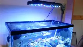 Arctic-SO26 LED Review (OceanRevivellc.com)
