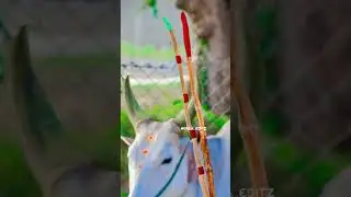 rekla race whatsapp status tamil | #reklarace#trending #shorts@AathiranMedia