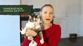 Emmener son chat ou chien en PVT.  Partie 1 : je l'emm&egrave;ne ou pas | Expatez-moi