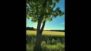 flow with life - att prata autentiskt