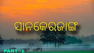 Sankerjang village #viralvideo #sankerjang #angul,odisha#odisha dj lovers