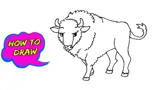 How to Draw a Bison easy step by step