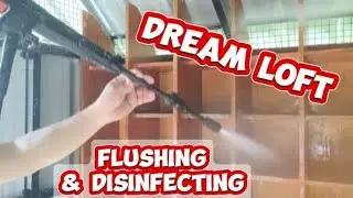 Flushing & Disinfecting my Dream Loft.