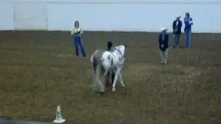 hunter showmanship tx state horse show 2009- prelims