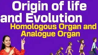 origin of life and Evolution|HomologousOrgan and Analogue Organ|Ncert CLASS -12|part-2|Simple Notes 