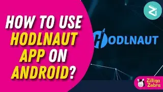 How to use Hodlnaut App on Android