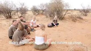 Wildlife sanctuary volunteering in Namibia