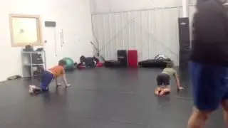 Clyde training