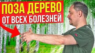 Поза 