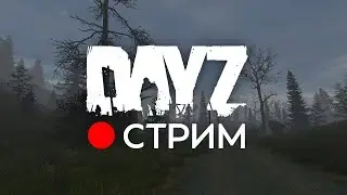 Dayz Dark Project PVE / Читаю 99% чата  #$$N1ke #stream  #dayzstandalone