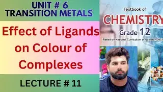 Chemistry Class 12 | Effect of Ligands on Colour of Complexes | Transition Metals | FBISE | NBF |