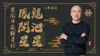 紫微斗數乙級星論 | 龍池、鳳閣星 | 2023年乙級星講解《紫微解密》(字幕版)