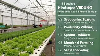 Hydroponic Farming Exposed &ndash; Why Most Beginners FAIL (and How You Can Succeed)