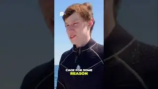 Swimming with shark: No Cage Challenge!