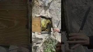 #bee #beekeeping #honeybeesting #himalayanhoney #honey #savethebees #beekeepinglife #honeybeevideo