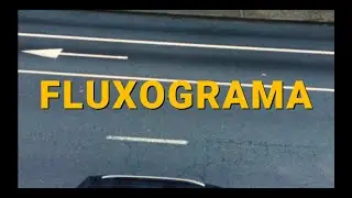 FLUXOGRAMA | FAVELA DISCOS | DOMESTIC RAVE | 24 HOURS 12 LABELS
