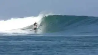 Tropic Migration