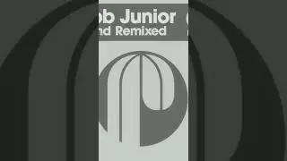 Sebb Junior - Got Yo Lovin (Crackazat Remix) / Check my channel for more underground music!