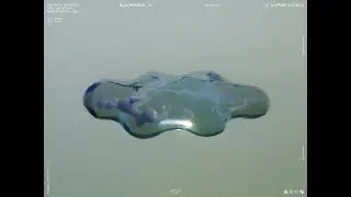 Blackpanda - VAPOR Y CIELO
