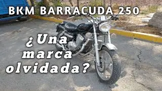 Mi Motocicleta, Una BKM barracuda 250, mi primera Moto Custom