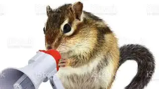FIX FOR CHIPMUNK SOUND WHILE BROADCASTING/RECORDING