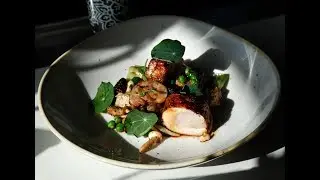 Top 50 Restaurants of Tampa Bay: Reading Room