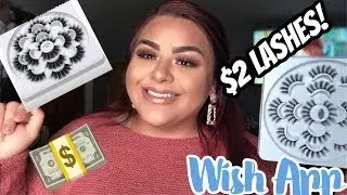 $2 lashes! The Best AFFORDABLE LASHES I&rsquo;ve ever tried! |WISH app
