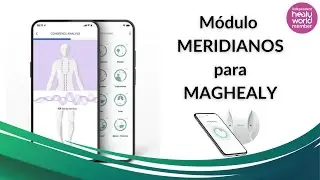 The meridian module #Maghealy