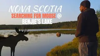 Benjie&rsquo;s Lake Trail | Quiet Boreal Forest Hike in Cape Breton