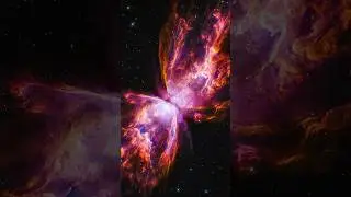 Wings of the Cosmos #shorts