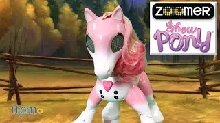 Zoomer Show Pony from Spin Master