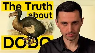 The REAL Reason DODO Birds Went Extinct