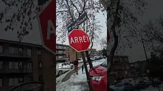 Le bitume de Montr&eacute;al(Lachine,Duff court)