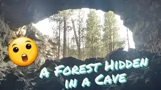 A Hidden Forest In A Lava Tube ~  Nature Is Amazing ~ Living Off-Grid in Oregon
