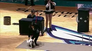Savitsky Cats - Los Angeles Lakers @ Charlotte Hornets 12/15/2018