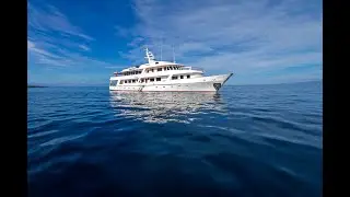 Passion Yacht  Your Luxurious Gateway to the Galapagos Islands