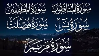 تلاوة هادئة تريح الأعصاب 😴💚| سورة مريم | سورة فصلت | سورة يس|سورة المطففين |سورة المنافقون #quran