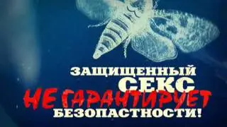 АнтиСПИД // Правило №1