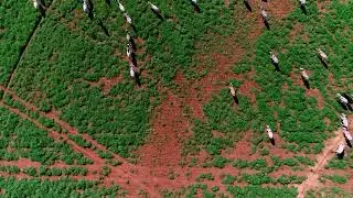 Quantum Grid Technologies   Revolutionizing Aerospace and AI in Africa