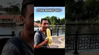 Other Biggest Fruit VS This One Fruit 🥭